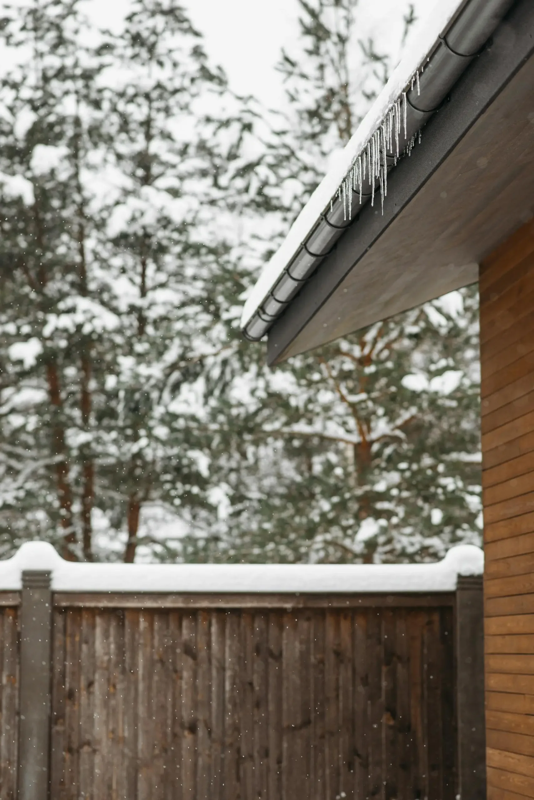 Winter Ready Gutters